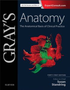 Gray's Anatomy