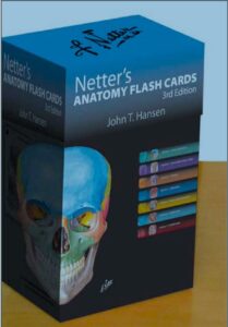 Netter's Anatomy Flash Card