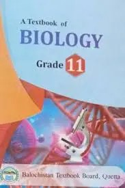 BTB Biology 11