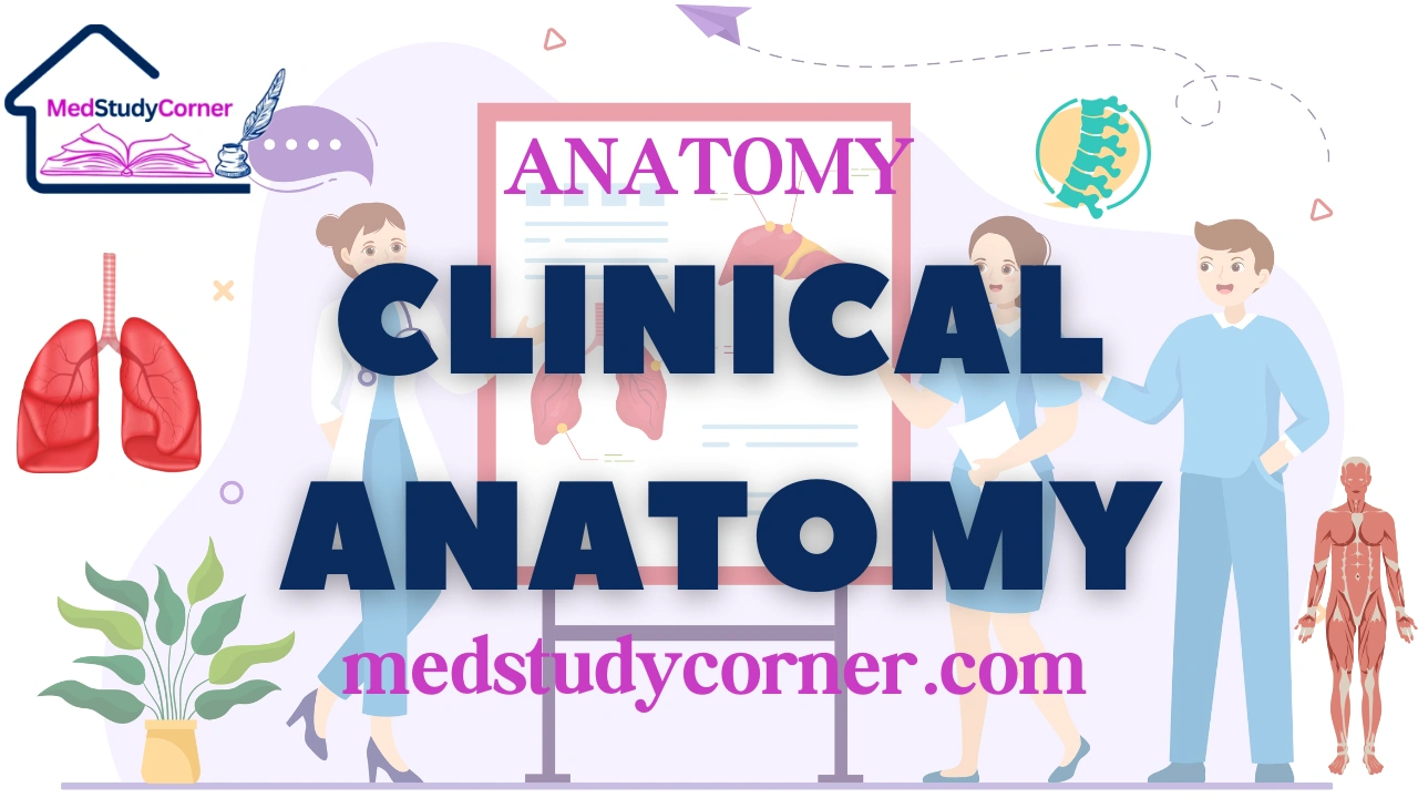 CLINICAL ANATOMY