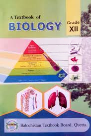 BTB biology 12